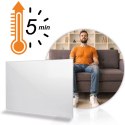 Grzejnik na podczerwień promiennik podczerwieni 800 W Berdsen BD-986