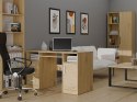 BIURKO DELTA DĄB ARTISAN 120 Cm 3 Szuflady Szafka Półki Do Biura Pokoju Na Laptop
