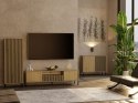 Komoda Front Ryflowany Szafka KAMARO 2D Slim / Gładki DĄB ARTISAN Lamele