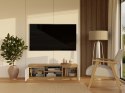 RTV Malwa 120 DĄB ARTISAN BIEL