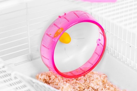 Klatka dla chomika świnki morskiej gryzoni pełne wyposażenie Petsi PETSI