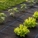 Agrowłóknina czarna agrotkanina UV 150g mata antychwastowa 1,6x20m kołki MulltiGarden MultiGarden