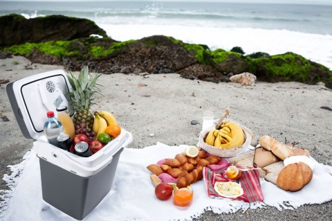 Lodówka turystyczna przenośna samochodowa 29L 220-240V DC12V funkcja grzania wkład gratis grafitowa LONGWELL INDUSTRIAL LTD