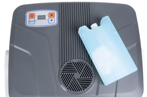 Lodówka turystyczna przenośna samochodowa 29L 220-240V DC12V funkcja grzania wkład gratis grafitowa LONGWELL INDUSTRIAL LTD