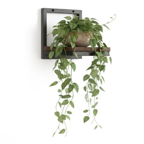 Kwietnik ścienny półka wisząca na kwiaty ozdoby loft ModernHome ModernHome