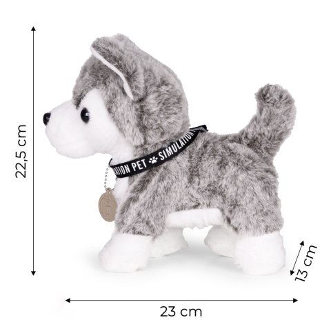Interaktywny piesek na smyczy husky chodzi i merda ogonem melodyjki MULTISTORE